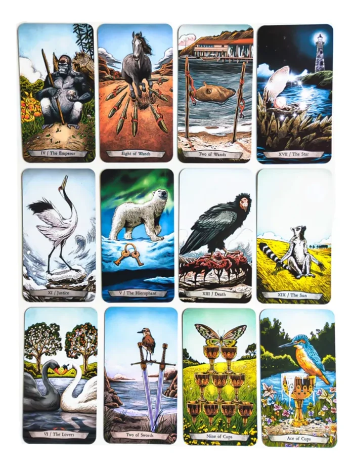 Tarot De Animales Totemicos Leeza Robertson Matiri 2