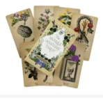 Cartas Tarot Rider Antique Anatomy guía PDF