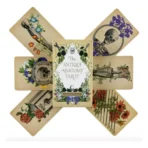 Cartas Tarot Rider Antique Anatomy guía PDF - Image 3