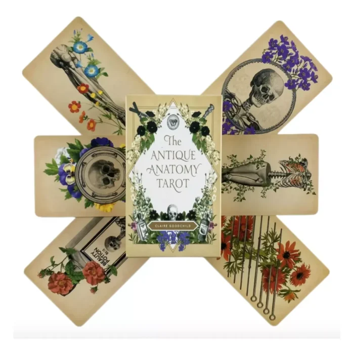 Cartas Tarot Rider Antique Anatomy guía PDF - Image 3
