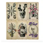 Cartas Tarot Rider Antique Anatomy guía PDF - Image 4