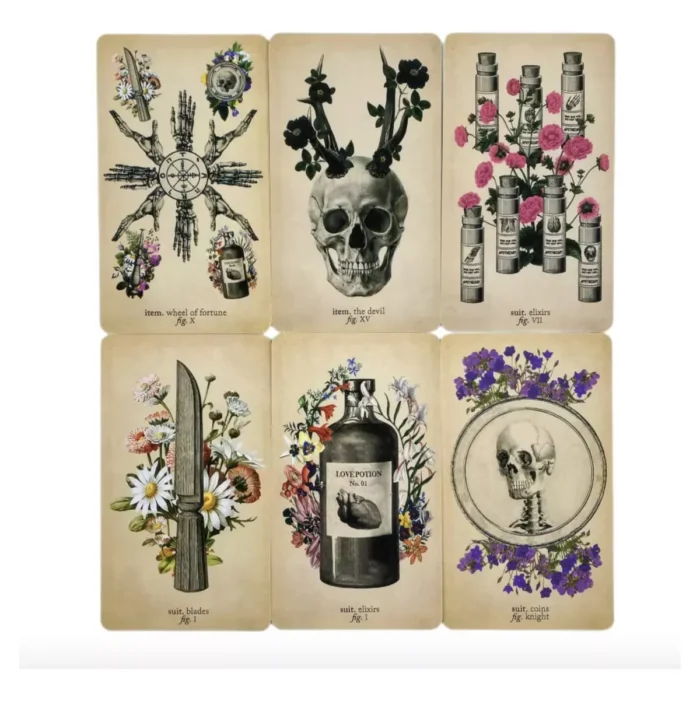 Cartas Tarot Rider Antique Anatomy guía PDF - Image 4