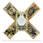 Cartas Tarot Rider Antique Anatomy guía PDF - Image 5