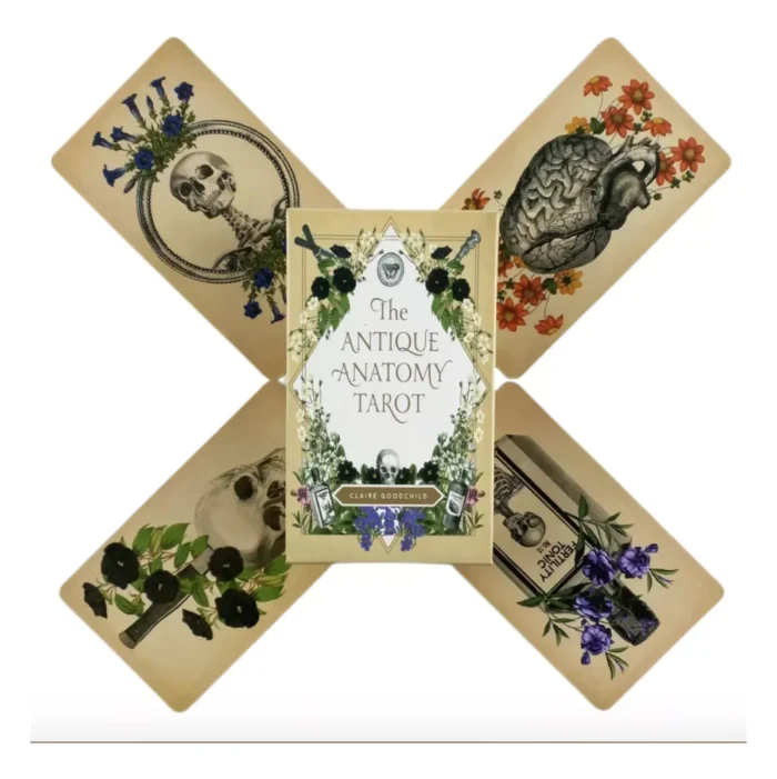 Cartas Tarot Rider Antique Anatomy guía PDF - Image 5