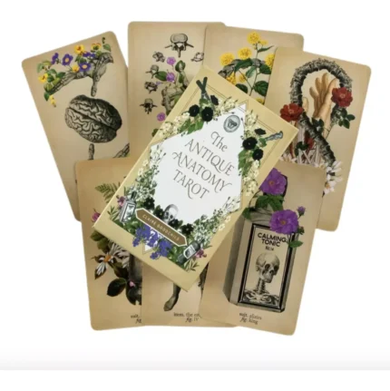 Cartas Tarot Rider Antique Anatomy guía PDF