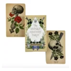 Cartas Tarot Rider Antique Anatomy guía PDF - Image 6