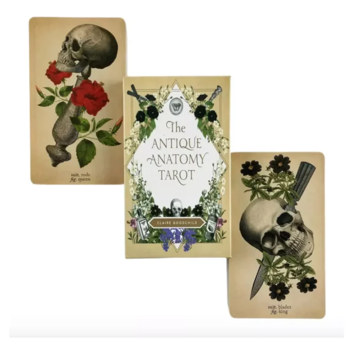 Cartas Tarot Rider Antique Anatomy guía PDF - Image 6