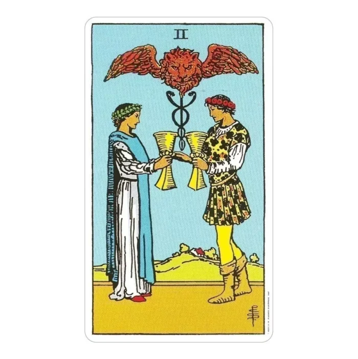 Cartas Tarot Rider Waite Matiri 78 cartas guía - Image 5
