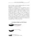 Clavículas de Salomón, Grimorio Mágico Ritual - Image 6