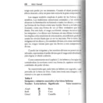 Cómo Preparar Talismánes, Entidades Vivas de Poder - Image 5
