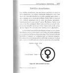 Cómo Preparar Talismánes, Entidades Vivas de Poder - Image 7