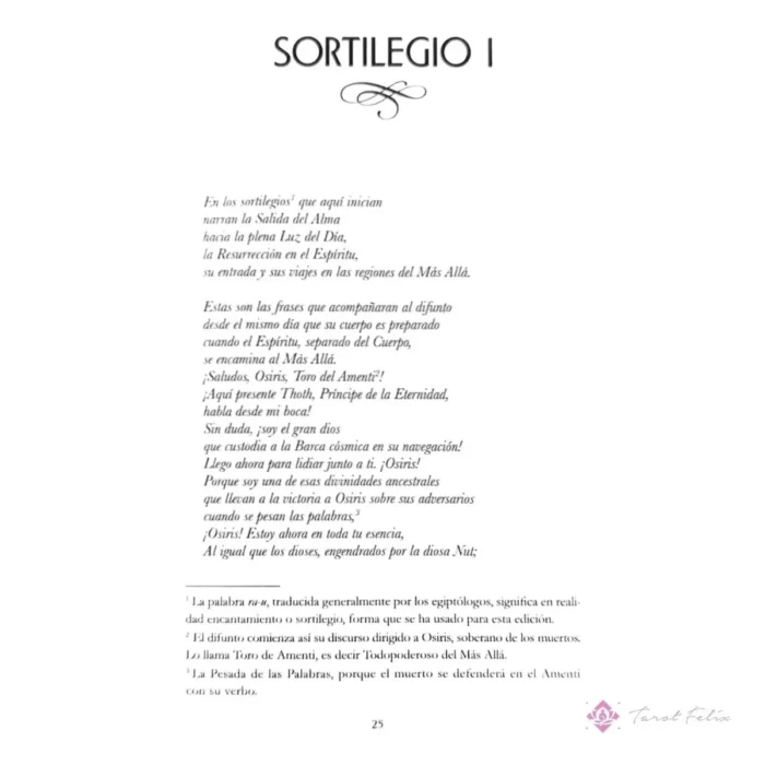 Libro Egipcio De Los Muertos: Una Guía Para El Más Allá - Image 6
