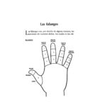 Libro Metodo Completo De La Lectura De La Mano Quiromancia - Image 8