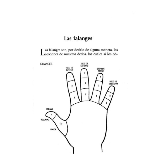 Libro Metodo Completo De La Lectura De La Mano Quiromancia - Image 8