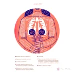 Salud Y Curación Astrología Del Cuerpo Por Claire Gallagher - Image 6