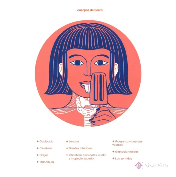 Salud Y Curación Astrología Del Cuerpo Por Claire Gallagher - Image 3