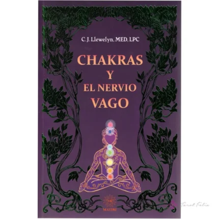Chakras Y El Nervio Vago Conexión Psicológica Y Física