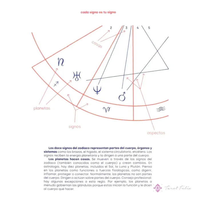 Salud Y Curación Astrología Del Cuerpo Por Claire Gallagher - Image 2