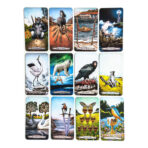 Cartas Tarot De Los Animales Totemicos Español Matiri +Guia - Image 4