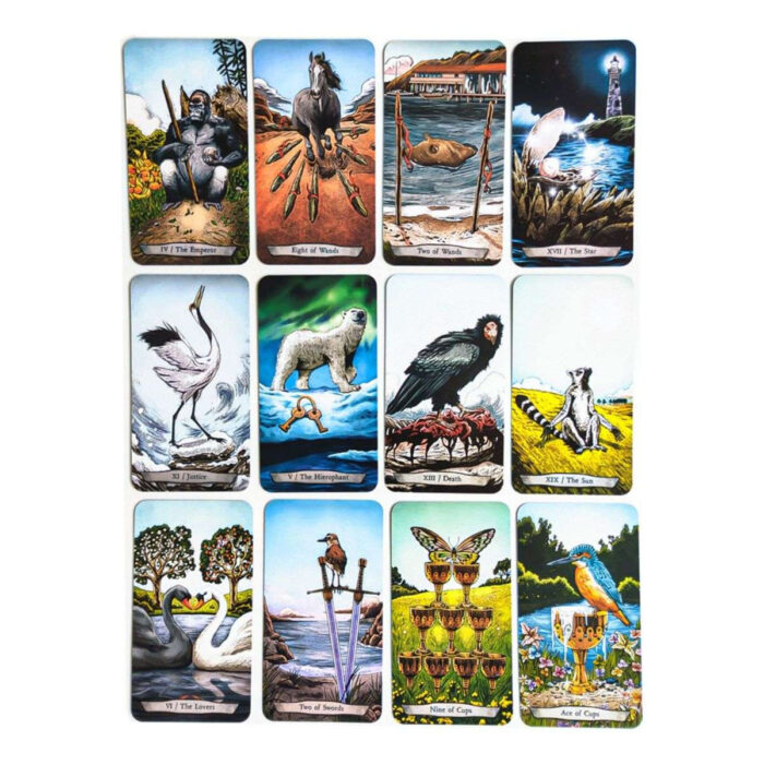 Cartas Tarot De Los Animales Totemicos Español Matiri +Guia - Image 4