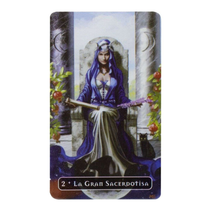 Cartas Tarot Version Mini De Las Brujas Witches Manual En Es - Image 4
