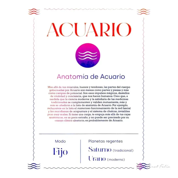 Salud Y Curación Astrología Del Cuerpo Por Claire Gallagher - Image 5