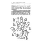 Libro Metodo Completo De La Lectura De La Mano Quiromancia - Image 4