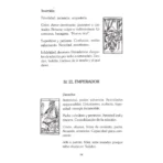 El Gran Libro Del Tarot De Marsella - Image 6
