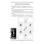 El Gran Libro Del Tarot De Marsella - Image 7