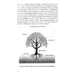 Elemento Perdido, Fuerza Oculta y 5 Elementos Vitales - Image 7