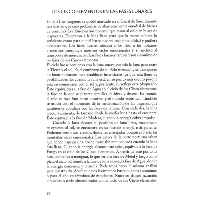 Elemento Perdido, Fuerza Oculta y 5 Elementos Vitales - Image 8