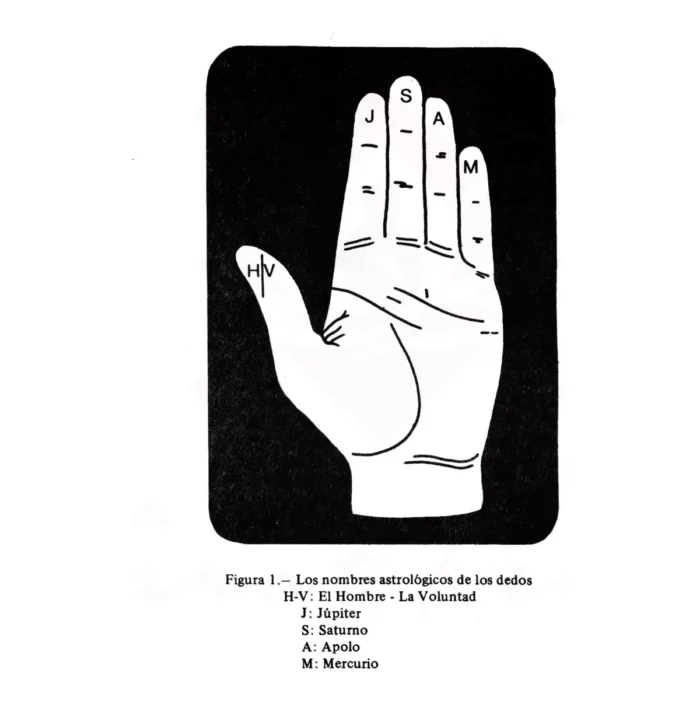 Quiromancia Práctica Cómo Leer Líneas de la Mano - Image 4