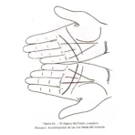 Quiromancia Práctica Cómo Leer Líneas de la Mano - Image 6