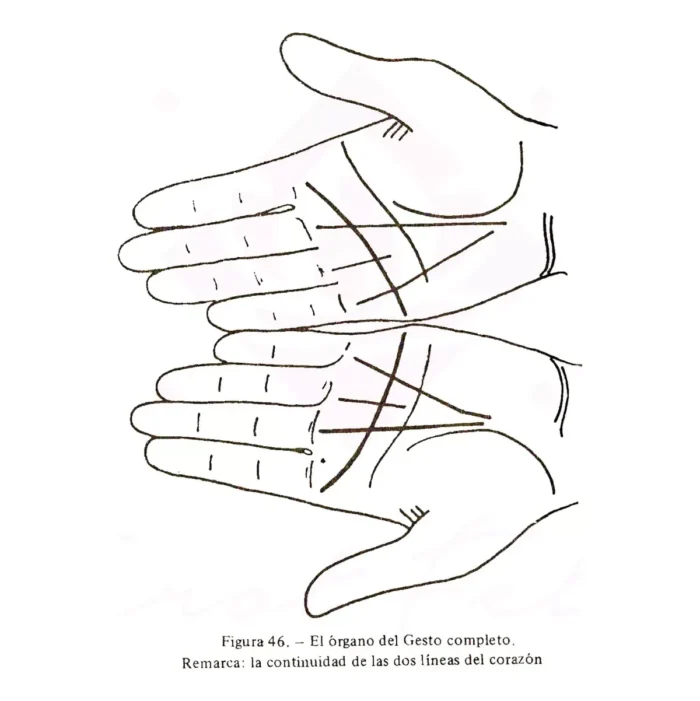 Quiromancia Práctica Cómo Leer Líneas de la Mano - Image 6