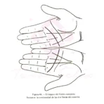 Quiromancia Práctica Cómo Leer Líneas de la Mano - Image 7