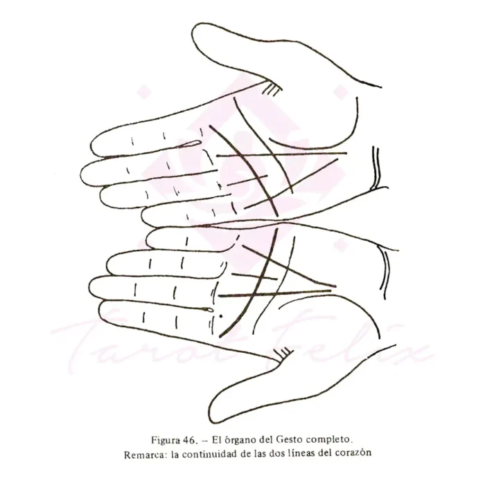 Quiromancia Práctica Cómo Leer Líneas de la Mano - Image 7