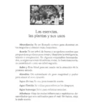 Rituales mágicos con aromas, aceites y esencias espirituales - Image 3