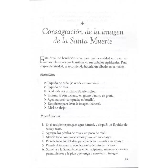 Libro Santa Muerte Prácticas Del Culto A La Santa Muerte - Image 6