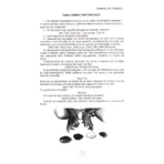 Manual del Caracol Diloggún, Significado Oddum Ifá - Image 12