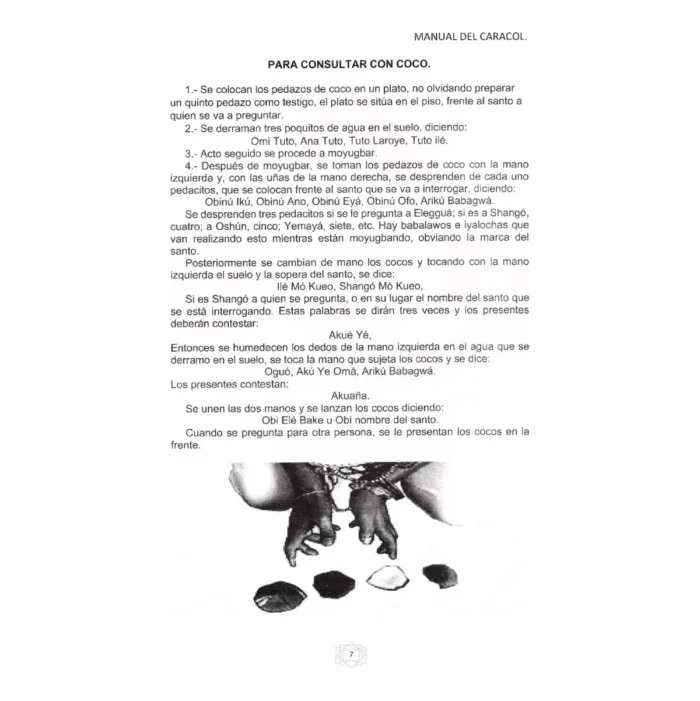 Manual del Caracol Diloggún, Significado Oddum Ifá - Image 12