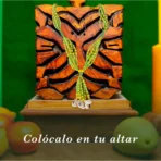 Mazo collar Orula, energía ritual de fe y prosperidad - Image 7