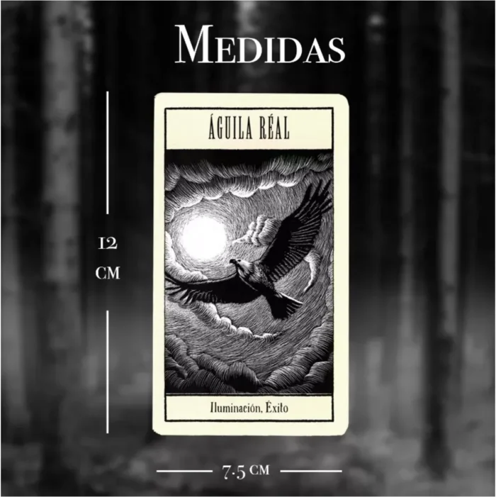 Oráculo animales sagrados, 44 cartas de sabiduría ancestral y guía en español - Image 4