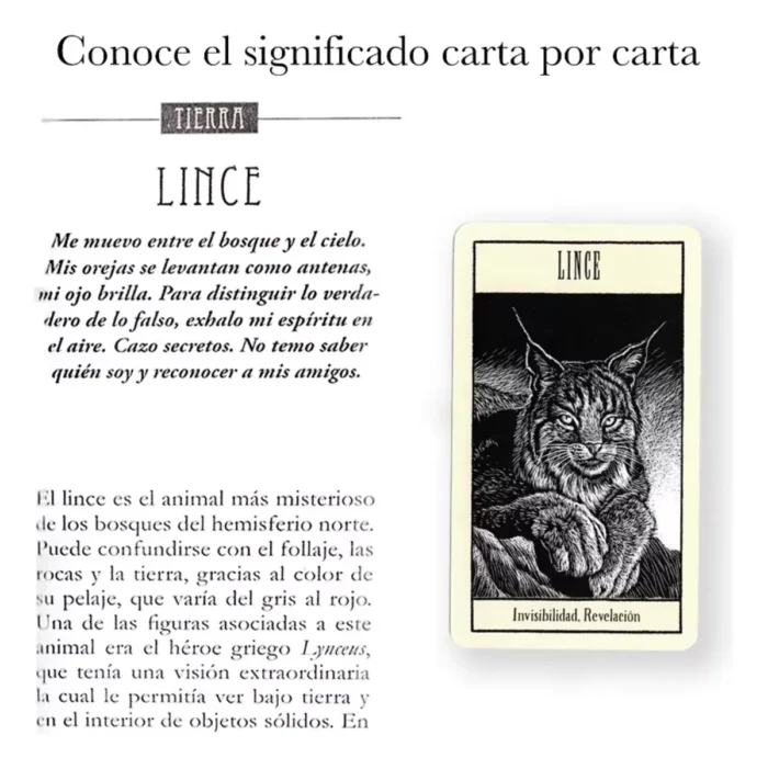 Oráculo animales sagrados, 44 cartas de sabiduría ancestral y guía en español - Image 5