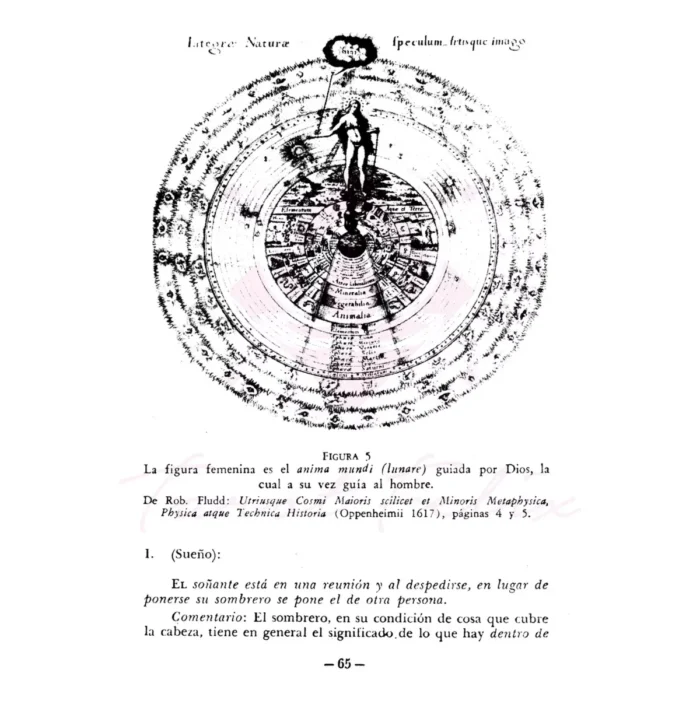 Viaje del Inconsciente