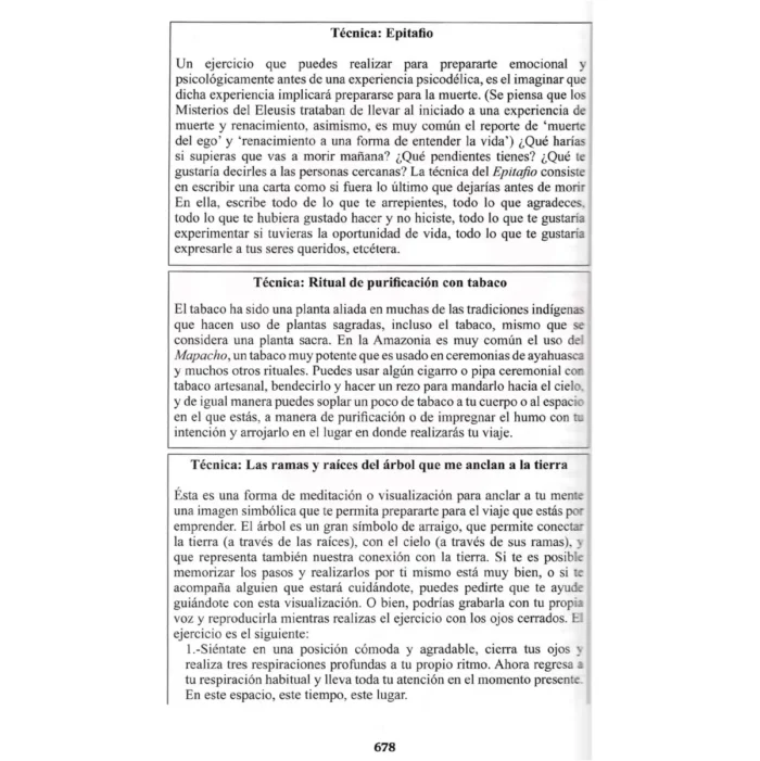Revelaciones Psicodélicas, Guía de Conexión Transformadora - Image 7