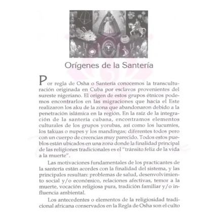 Adivinación Y Magia