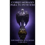 Santa Muerte Encarnada Embarazada | Alas Moradas - Image 5
