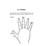 Método Completo de Lectura de la Mano | Sabiduría y Quiromancia | RTM Ediciones - Image 8