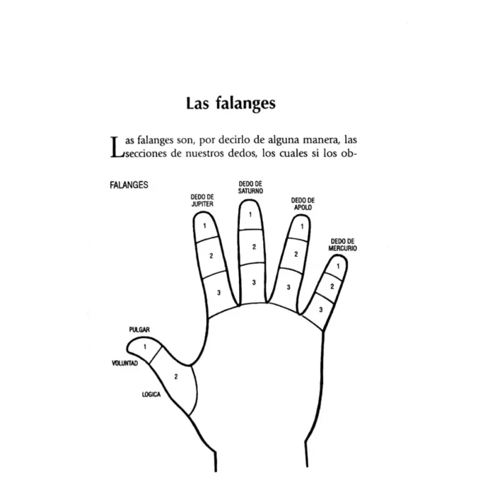 Método Completo de Lectura de la Mano | Sabiduría y Quiromancia | RTM Ediciones - Image 8