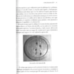 Babalawo | Los Sumos Sacerdotes y sus Tradiciones | Editorial EMU - Image 8